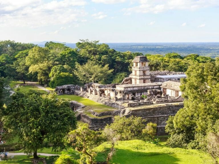 Palenque overview