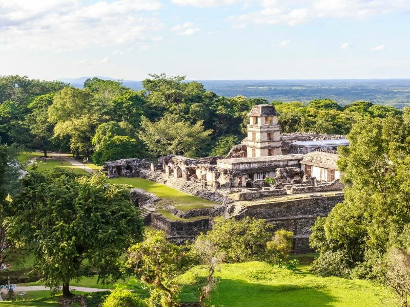 Palenque overview