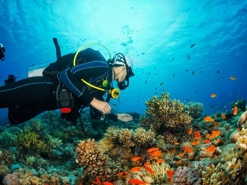 Scuba Diving in Cancun