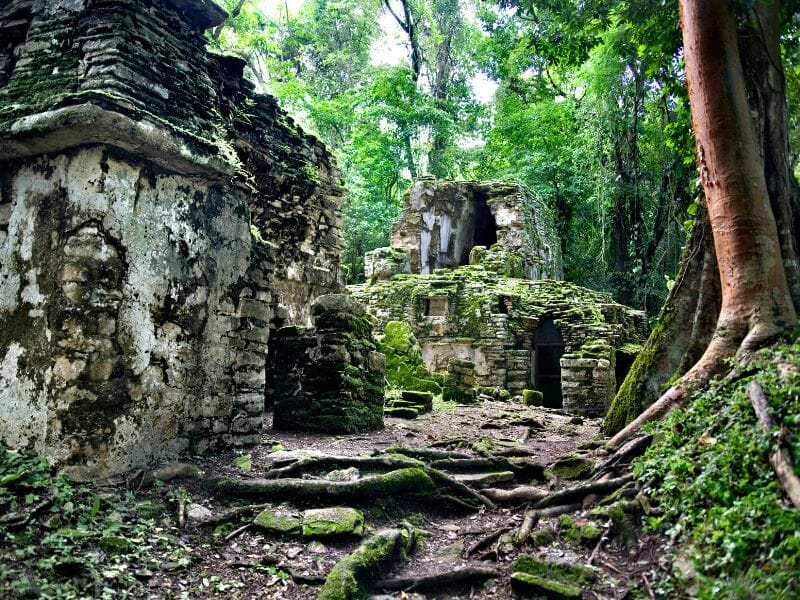 Yaxchilan