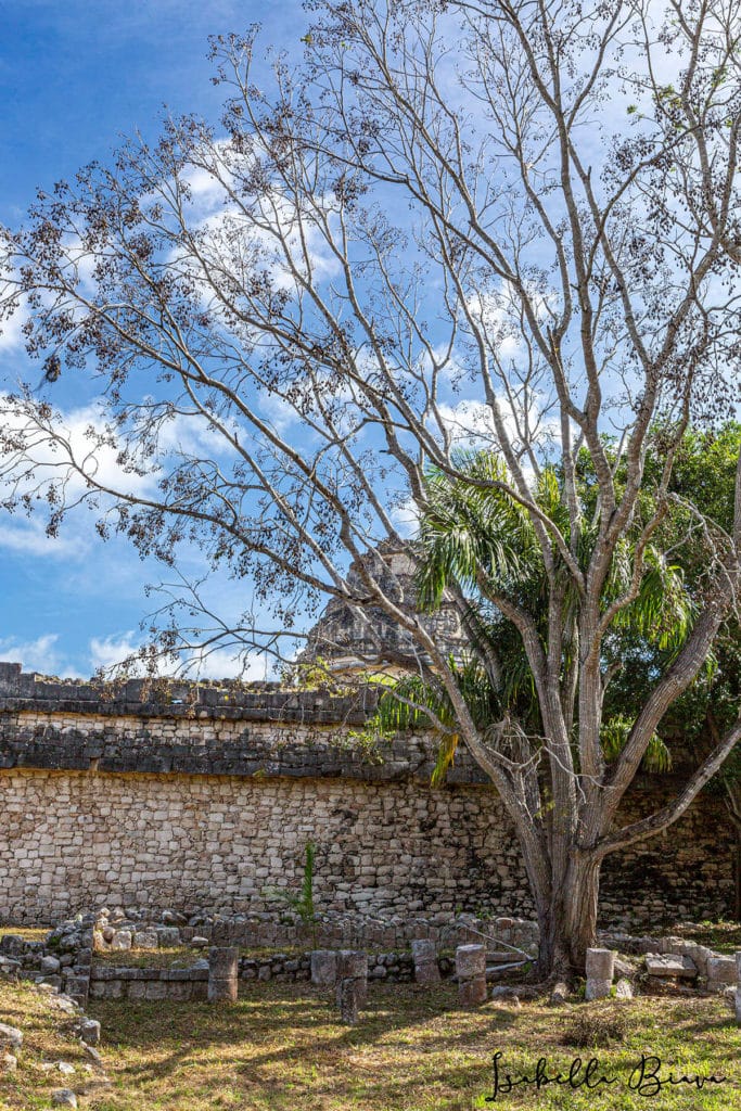Chichen. Itza