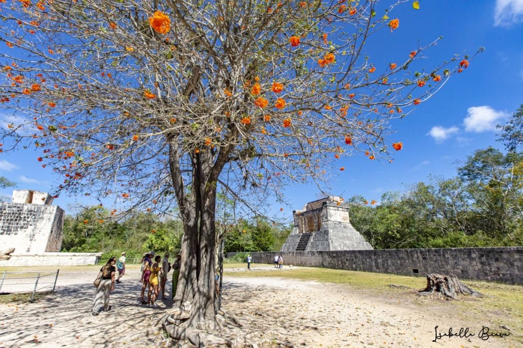 Chichen Itza temples