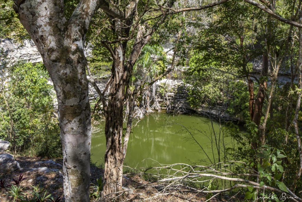 Chichen Itza Sacred Cenote