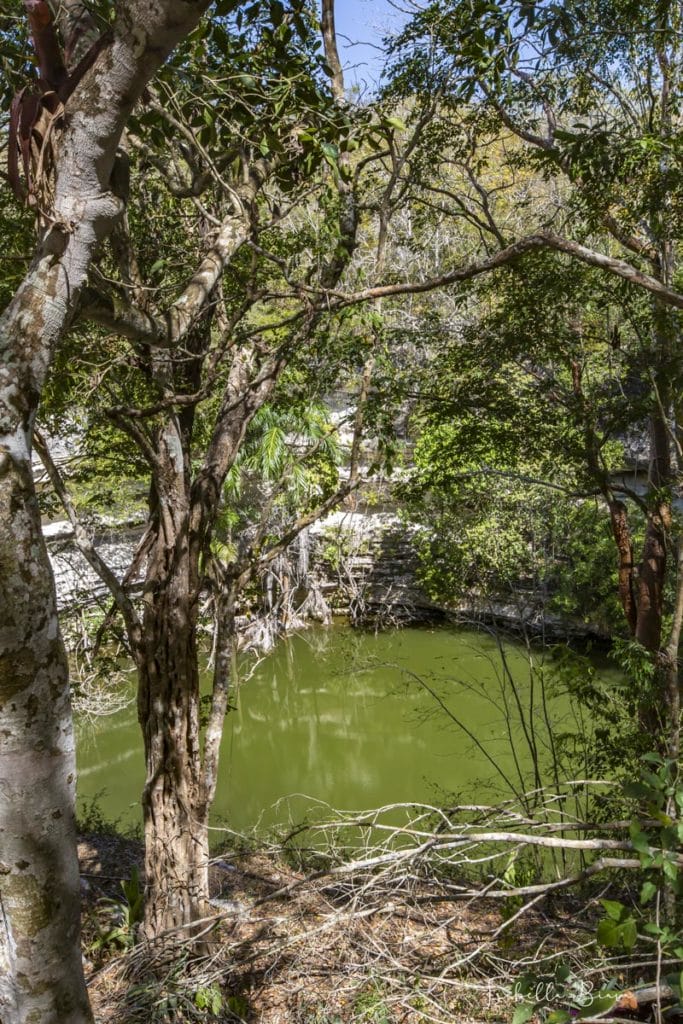Chichen Itza Grand Cenote 
