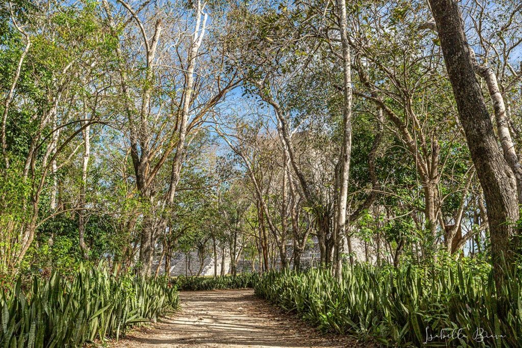 chcihen road to a temple