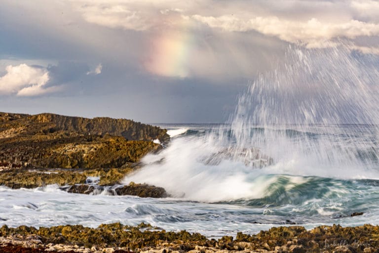 Cozumel Rainbow - Best time to visit Cozumel