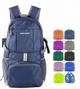 day bag