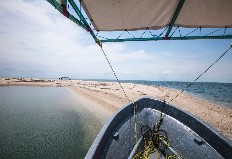 Isla Aguada boat tour sand bank