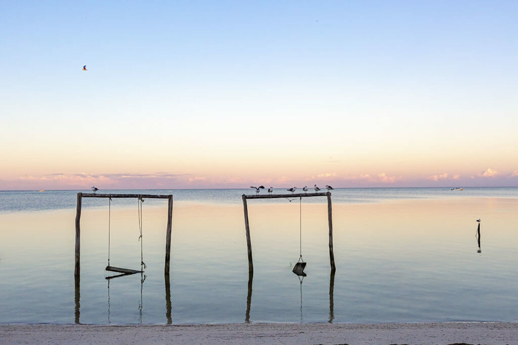 Isla arena swings
