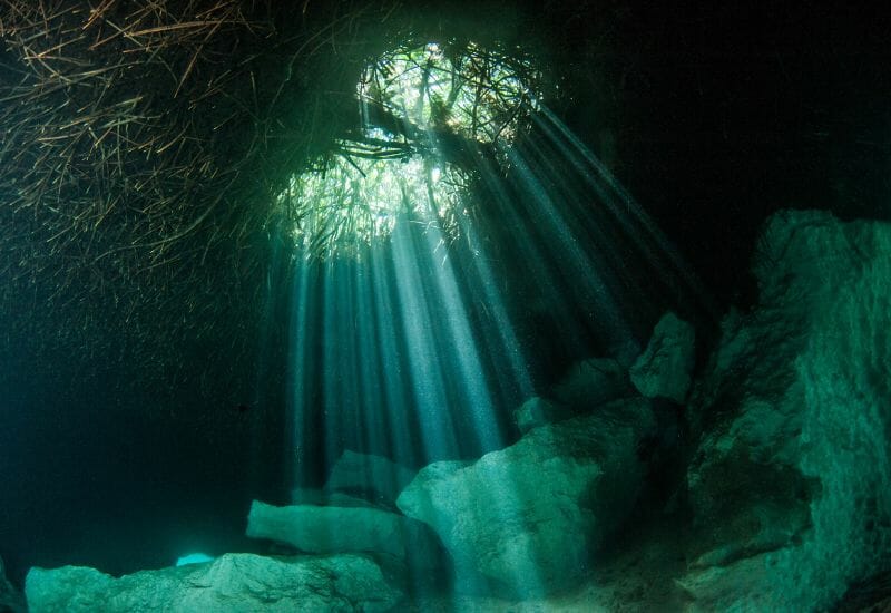 Scuba Diving in Casa Cenote