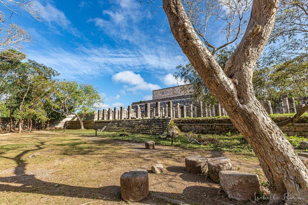 Mil Columnas