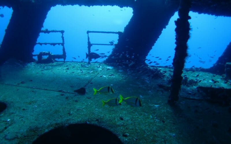 Anaya C- 58 Shipwreck Cancun