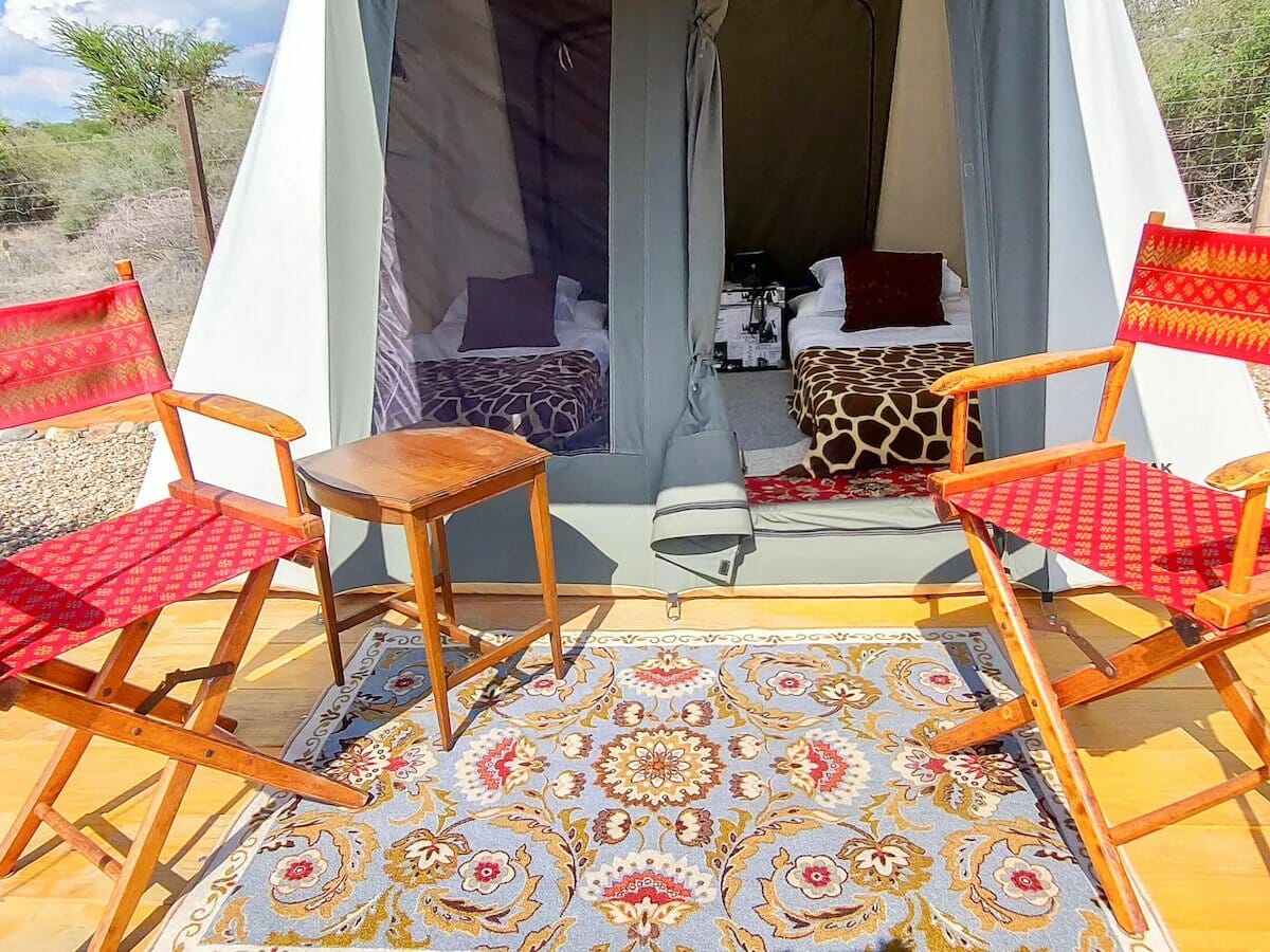 Zenzontle camping tent inside