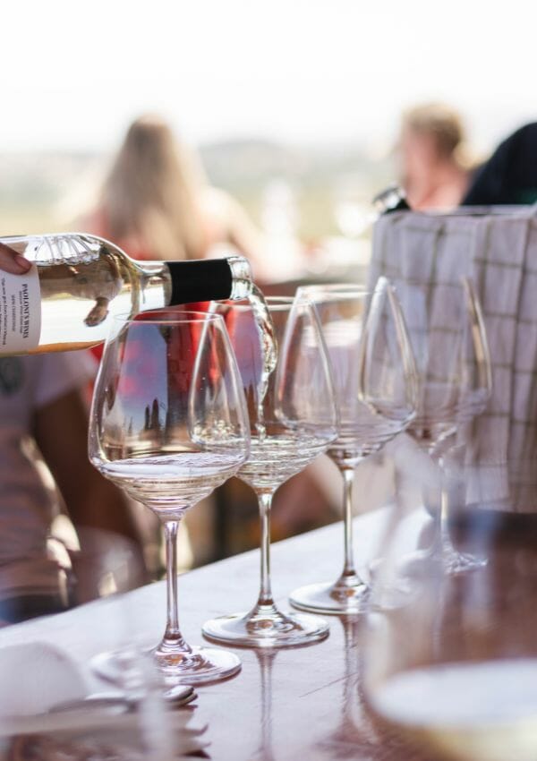 Ensenada Mexico ansell wine tour glasses