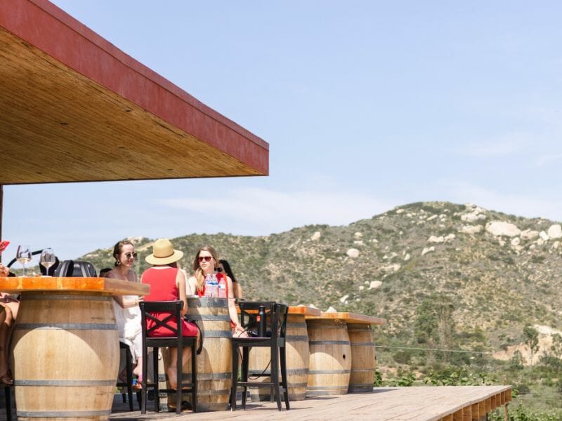 Ensenada Mexico ansell wine tour