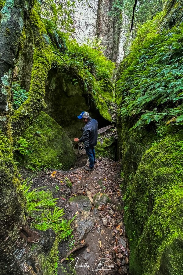 EL contadero natural labyrinth guide