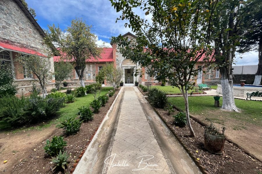 Museo de medicina labora internal garden