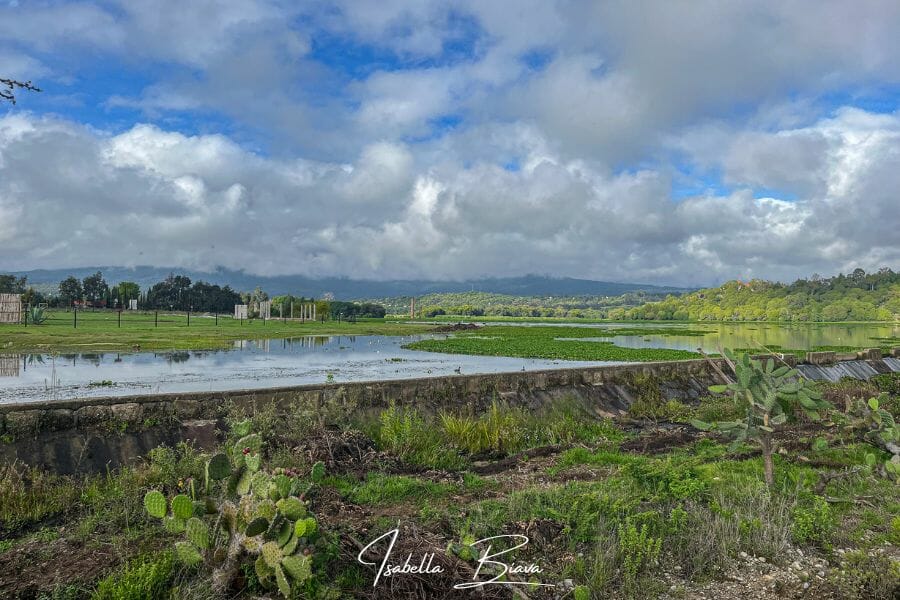 Presa de San Antonio
