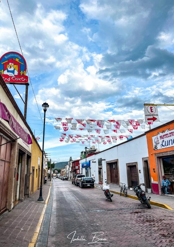 Tecozautla road