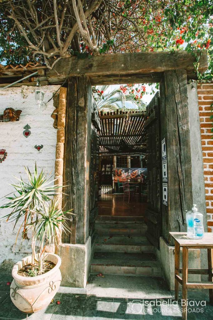 Rustic entrance with wooden doors, vibrant flowers above, and potted plant nearby. Hand sanitizer on a table. Inviting ambiance leads indoors.