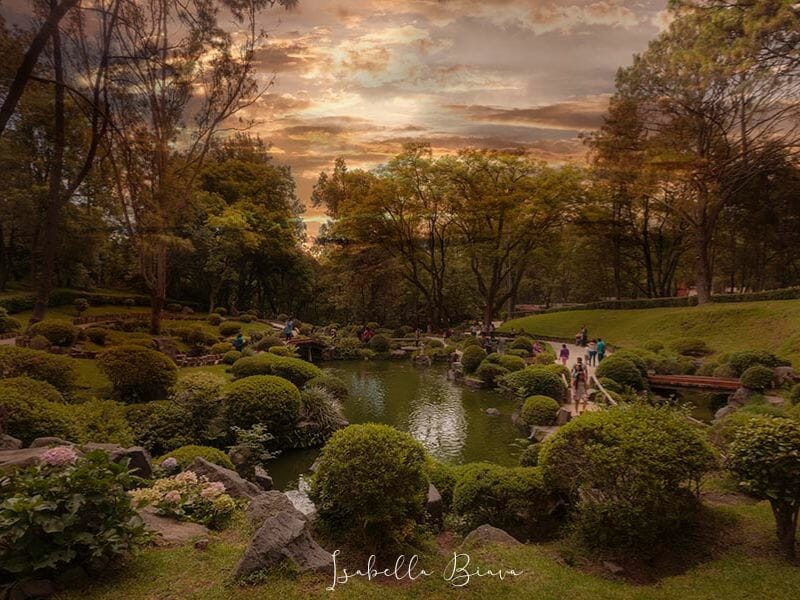 Guadalajara - Japanese Garden