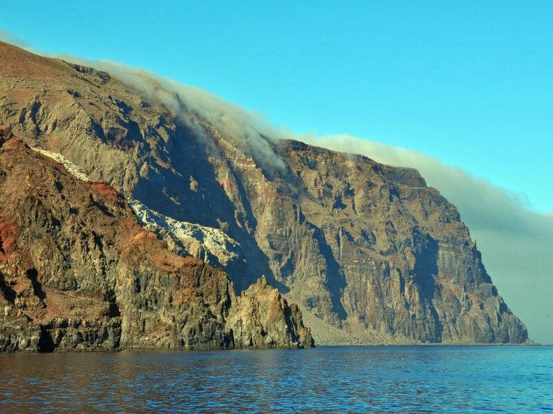 Guadalupe island
