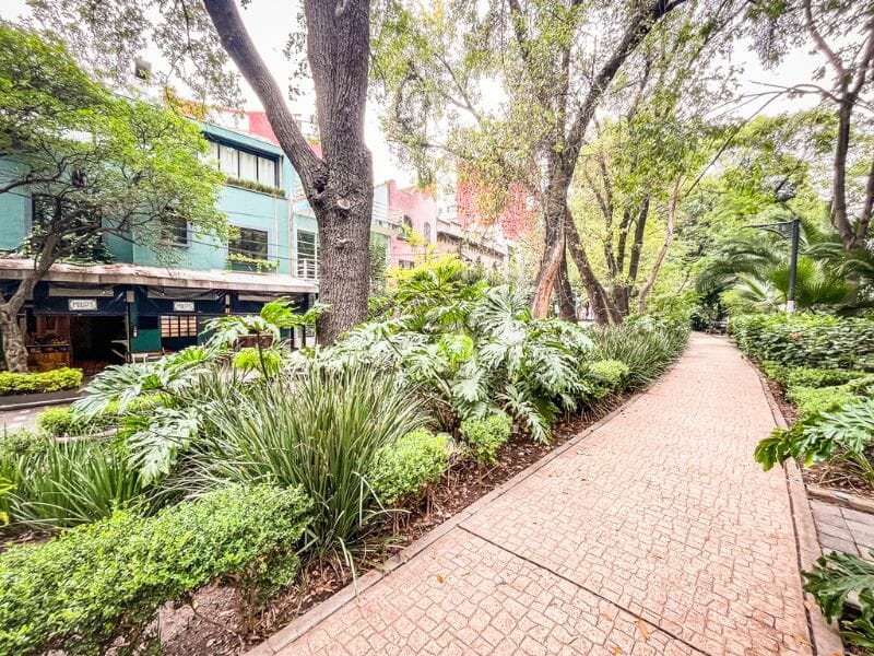 Park in La Condesa