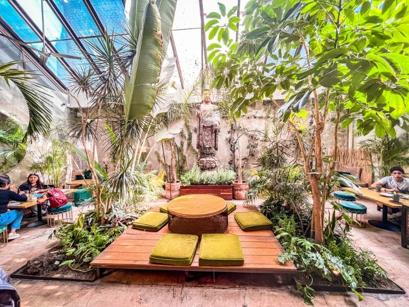 plantasia overview vegan restaurant in Roma Condesa