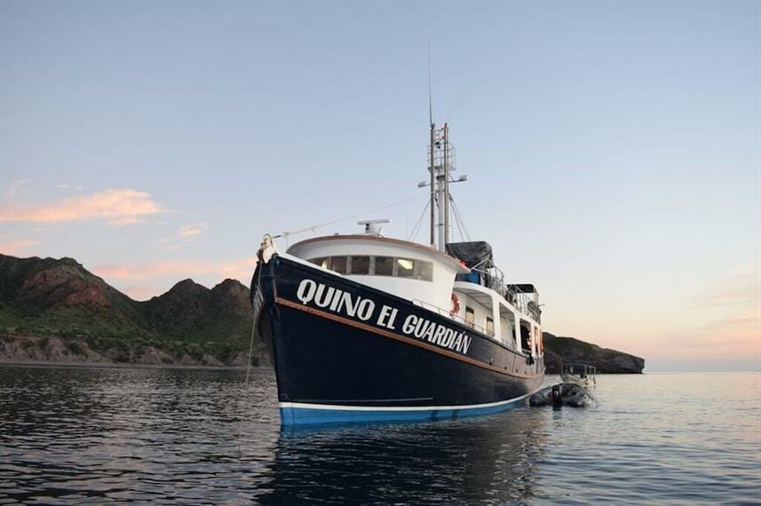 quinino el guardian overview