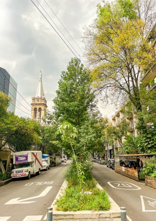 Street in La Roma with trees
