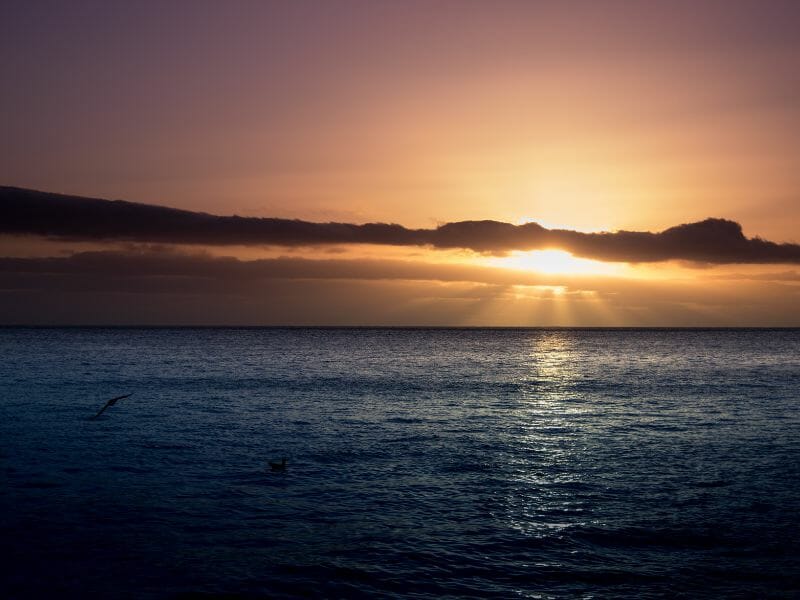Sunrise at Guadalupe island