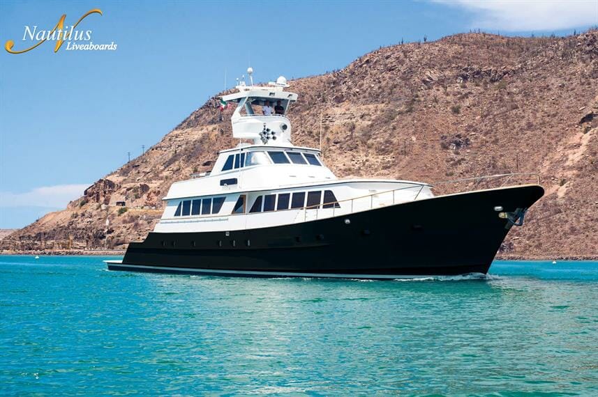 Gallant Lady Nautilus suite overview