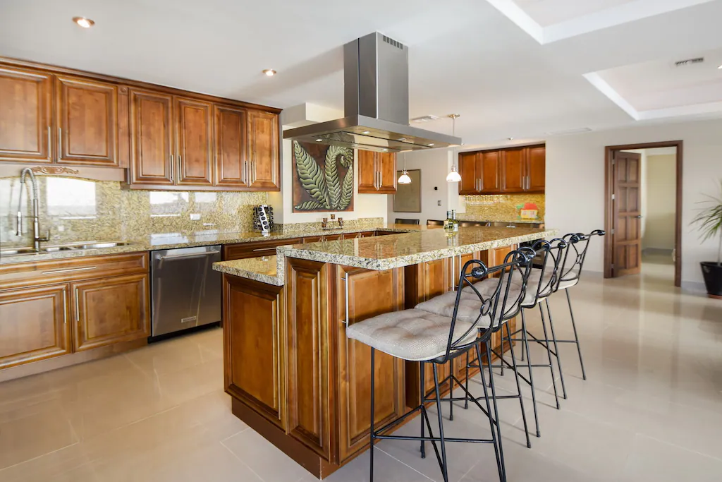 Penthouse kitchen 