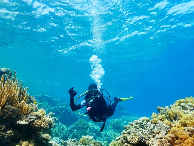 Girl Diving among corals