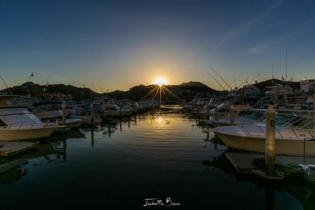 The Marina Cabo San Lucas