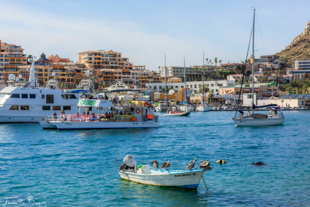 Boats in the Marina