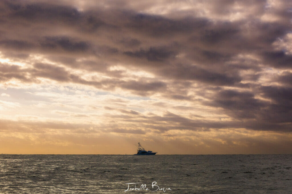 Fishing boat early morning