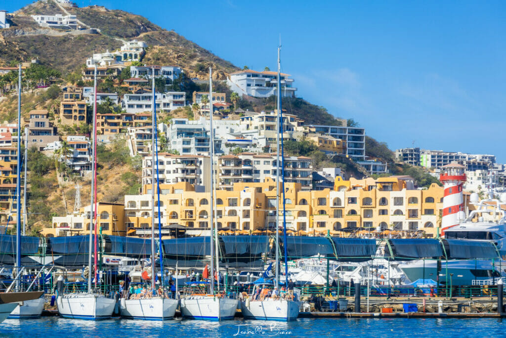 Sail boats at the Marina in Cabo San Lucas