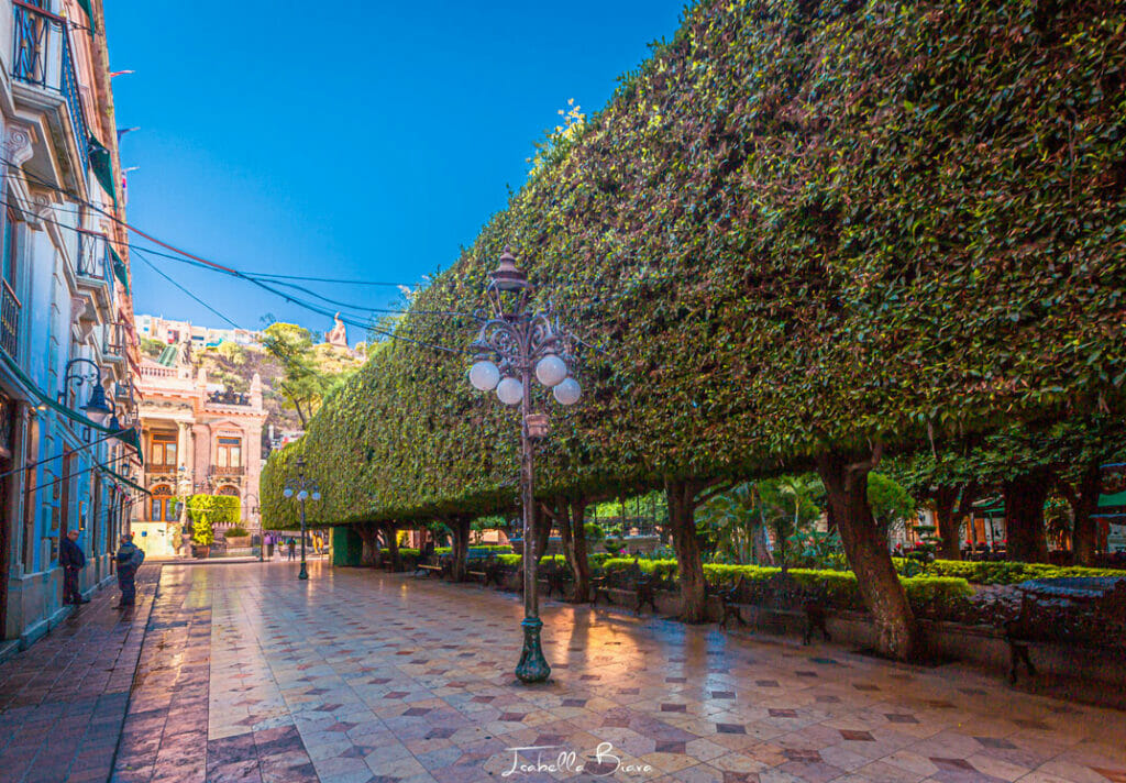 Guanajuato square