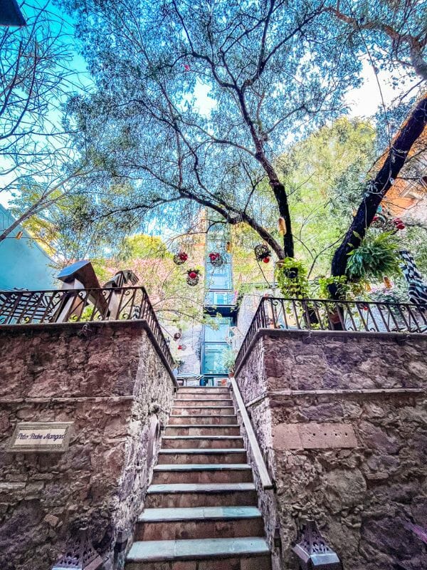 La casa del rector Guanajuato garden