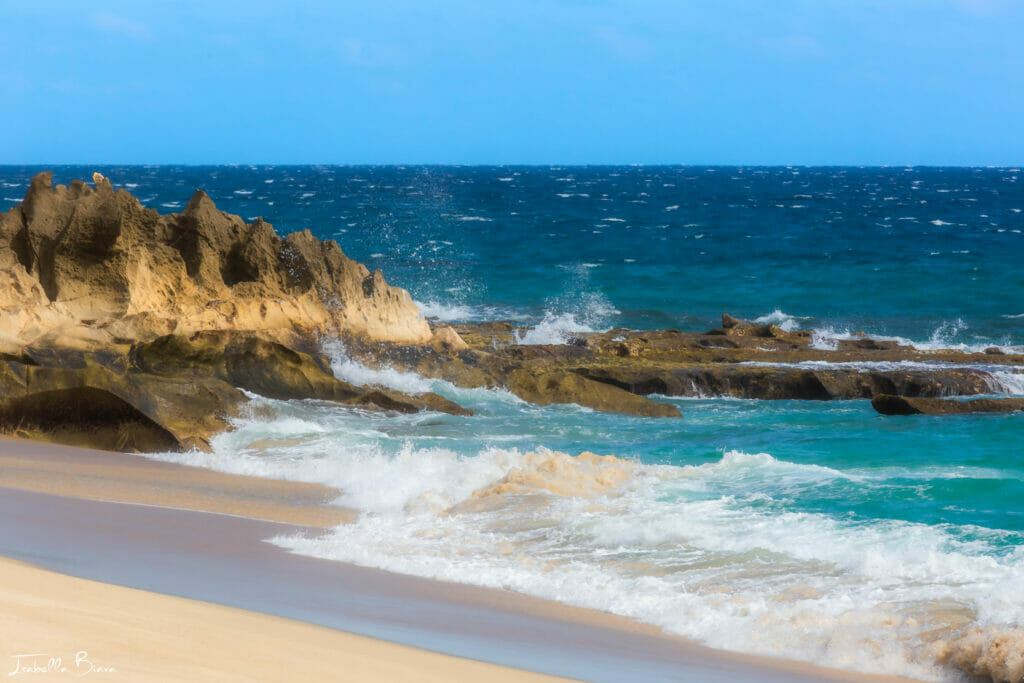 San Jose del Cabo beach