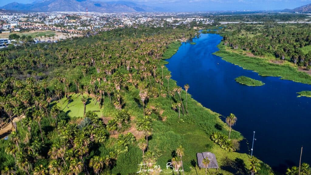San Jose Del Cabo Estero