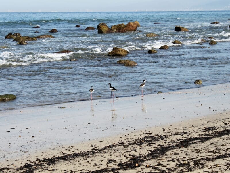 The shores of Quimixto