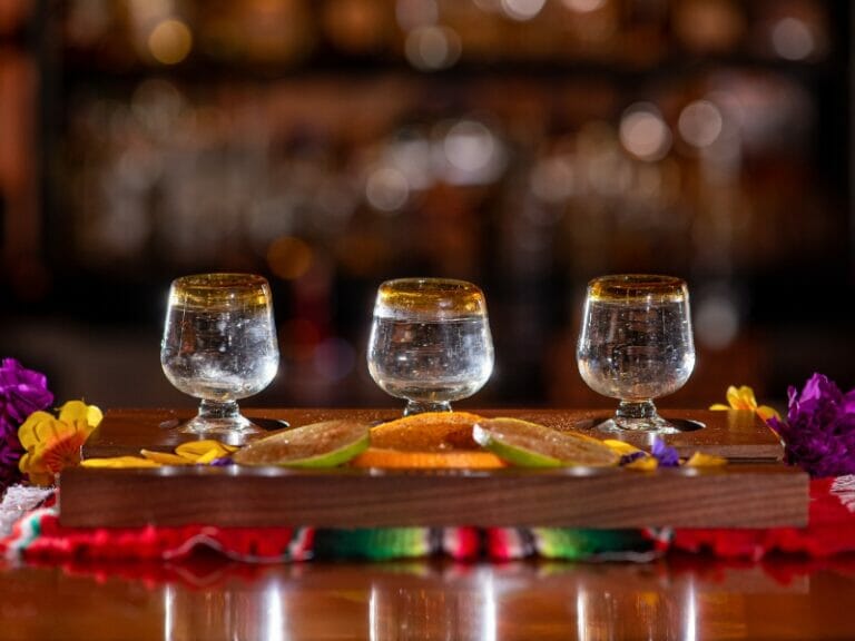 Tequila shots on the table