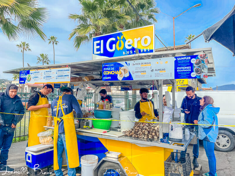 El Guero Taqueria 