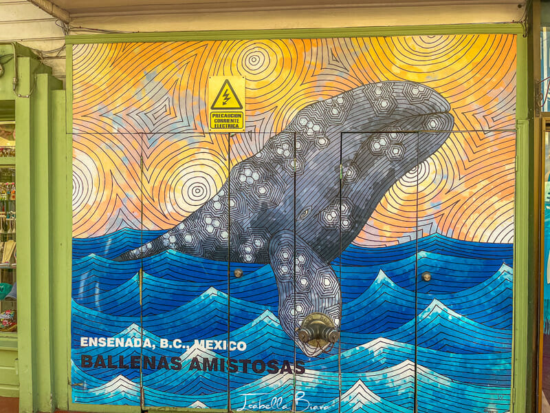 Ensenada murals