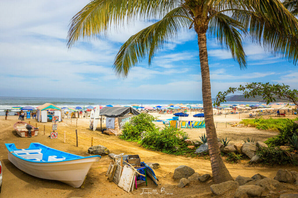 A coastal scene featuring a small boat on sandy ground under a swaying palm tree. In the background, vibrant umbrellas and beach tents dot the shore, creating a festive, crowded beach vibe.