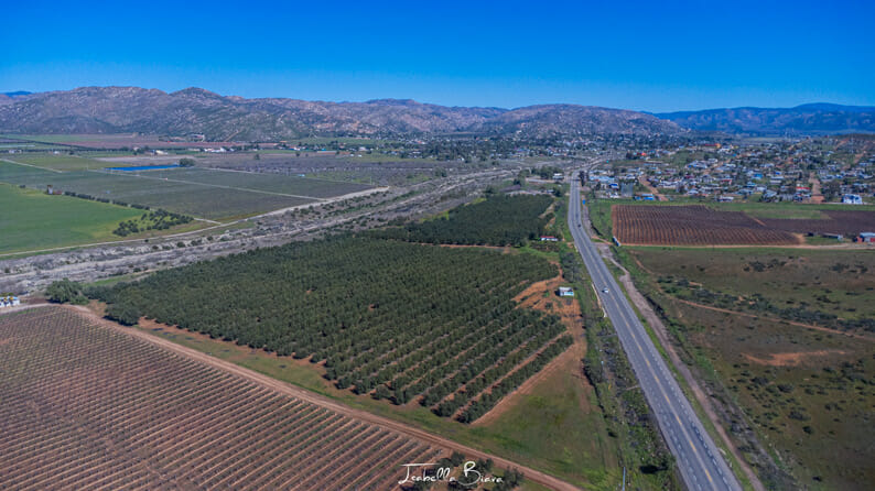 Valle de Guadalupe aerial view