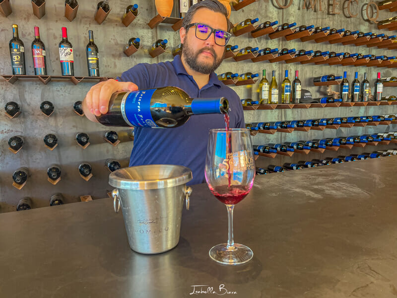 Valle de guadalupe domeq wine pouring