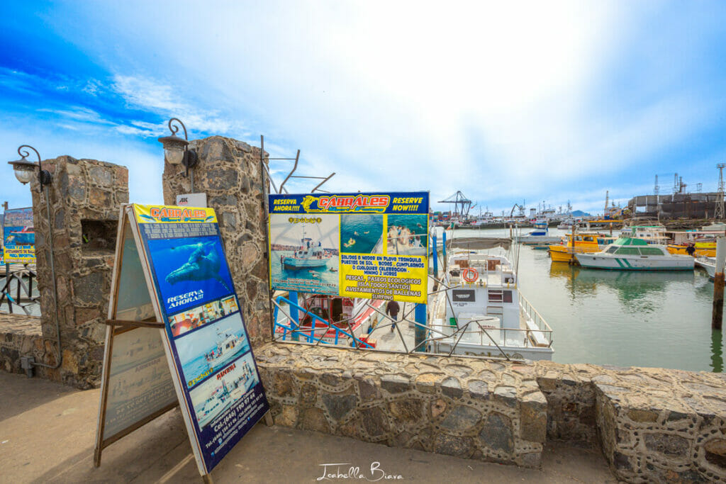 Ensenada tours at Malecon